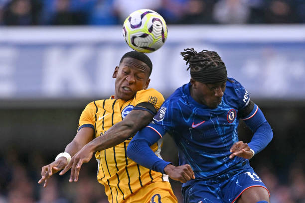 仅是竞技体 仅是竞技体